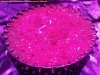 Seed Planting (6).jpg