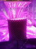 Seed Planting (5).jpg