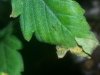 20140327_170717.jpg