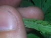 20140327_170703.jpg