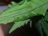 20140327_170623.jpg