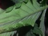 20140327_170618.jpg