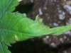 20140327_170553.jpg