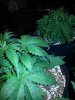 20140328_000029.jpg