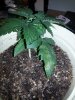 20140327_192953.jpg