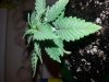 20140329_014314.jpg 20140329_014314.jpg