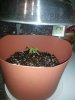 20140301_153805.jpg 20140301_153805.jpg