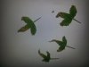 20140329_211938.jpg