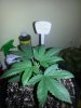 20140329_210931.jpg