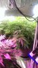 IMAG0916.jpg