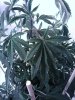 IMG_20140401_061451.jpg