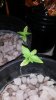 20140407_162829.jpg