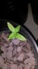 20140407_162844.jpg