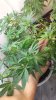 20140208_055349.jpg