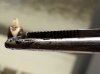 20140408_080422.jpg