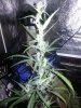 20140408_161751.jpg