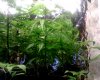 IMG00041.jpg