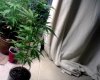 IMG00031.jpg