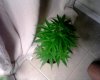 IMG00033.jpg