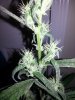 20140410_150132.jpg