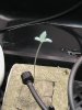 sprout 2.JPG