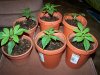 6-Pack 11-30.jpg