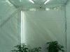 veg setup 2.jpg