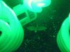 1201080002.jpg