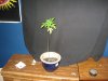 IMG_0200.JPG
