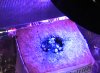 Sprout-LED-Day-03.jpg