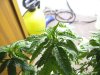 100_0116.jpg