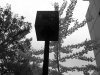 black box.jpg