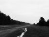 follow me.jpg