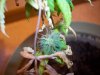 100_1066.jpg