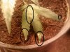 downsized_1203081324.jpg