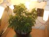 DSCF3714.jpg
