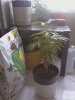 1201081006.jpg