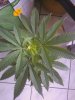 1201081007.jpg