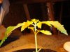 DSC00505.jpg