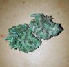 StrawberryKush_poster.jpg StrawberryKush_poster.jpg