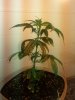20140416_235944.jpg