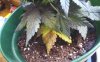 KINDLE_CAMERA_1396546602000.jpg