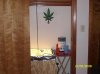room.jpg