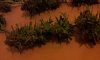Day 76 Harvest (13).jpg