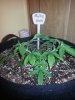 20140417_103243.jpg