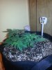 20140417_103402.jpg