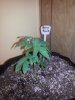 20140417_103656.jpg