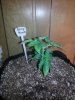 20140417_103701.jpg
