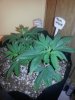 20140417_103118.jpg