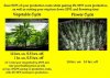 plant hours.jpg